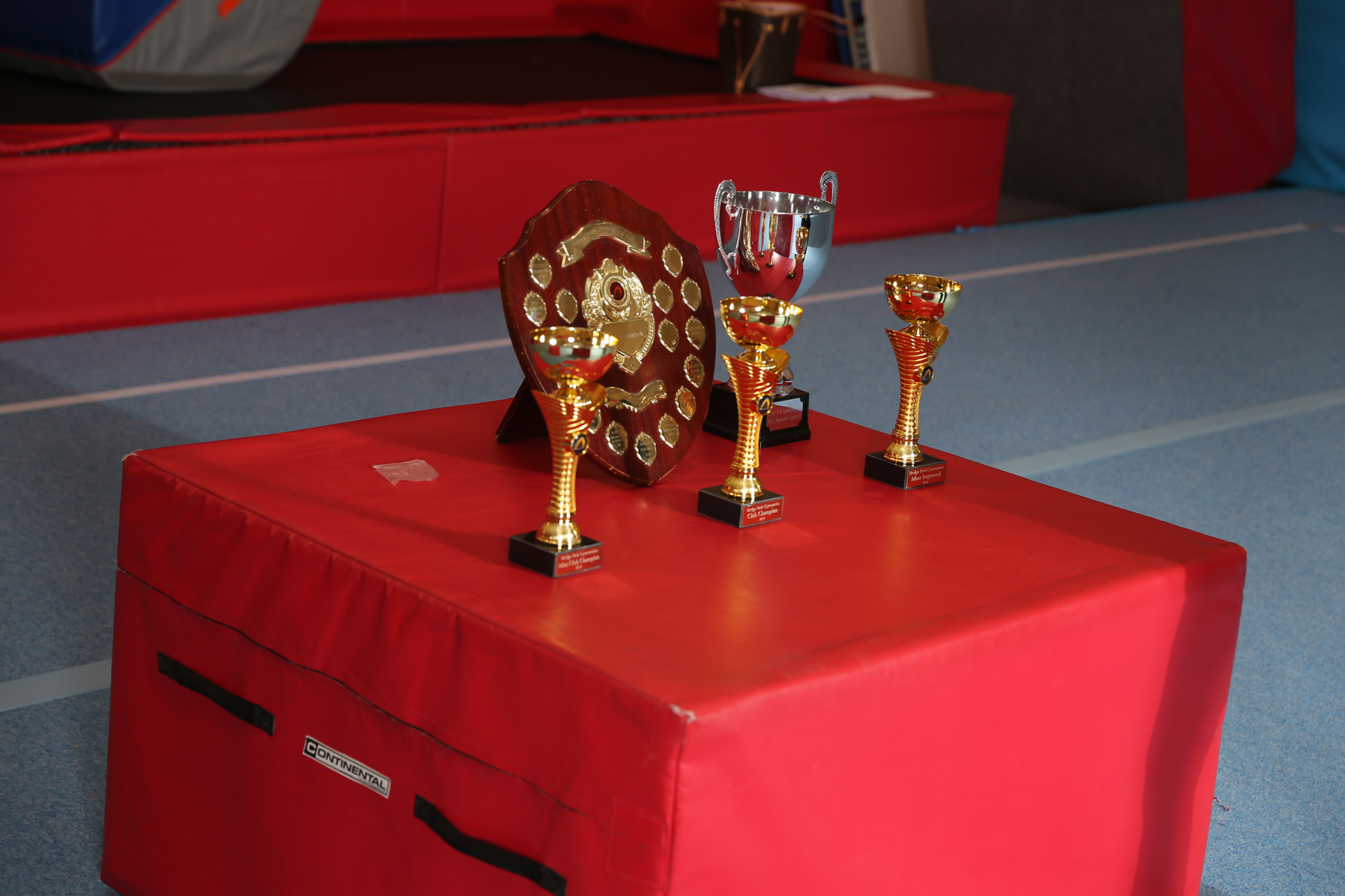 Bridge Park Gymnastics Club
